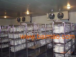 杭州食用冰塊批發(fā)與供應全指南 價格、廠家及運輸服務解析